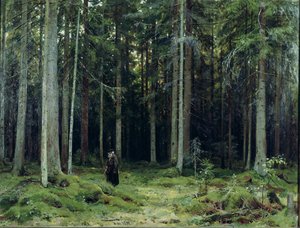 Grevinne Mordvinovs skog, 1891